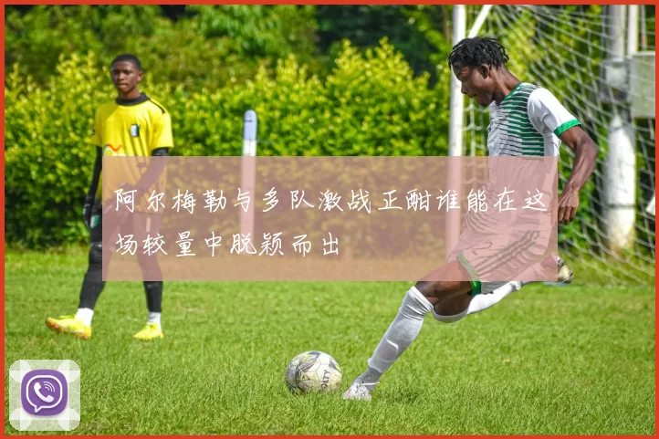 阿尔梅勒与多队激战正酣谁能在这场较量中脱颖而出