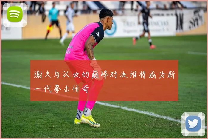 谢夫与汉坎的巅峰对决谁将成为新一代拳击传奇