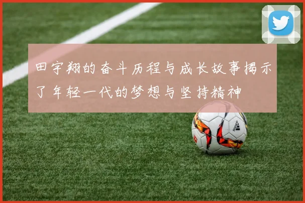 田宇翔的奋斗历程与成长故事揭示了年轻一代的梦想与坚持精神