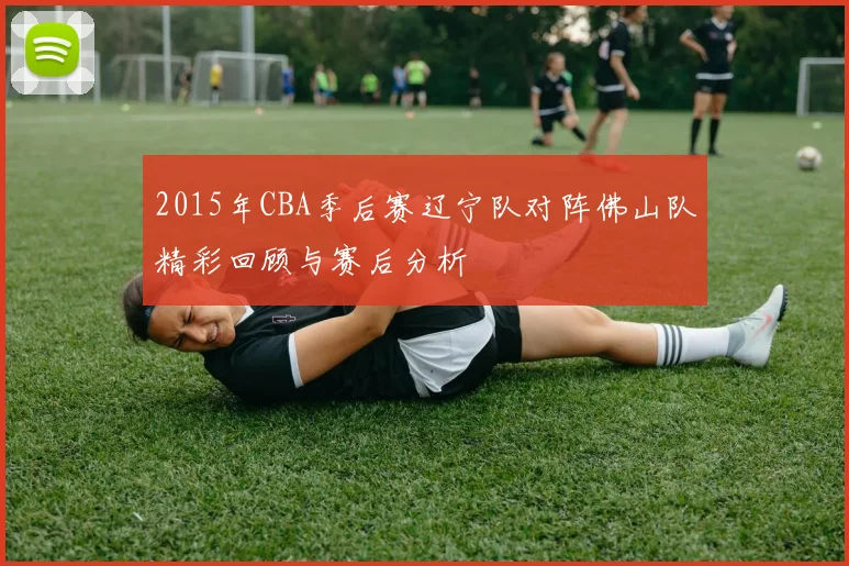 2015年CBA季后赛辽宁队对阵佛山队精彩回顾与赛后分析